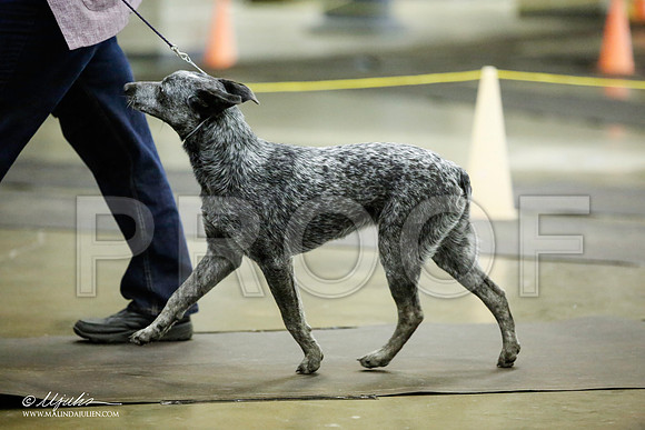 _JJ_6962-BeltonJan2015IABCA-HR3