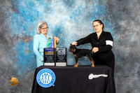 Brussels Griffon #7 Sun BOBWD Judge Carol Pyrkosz
