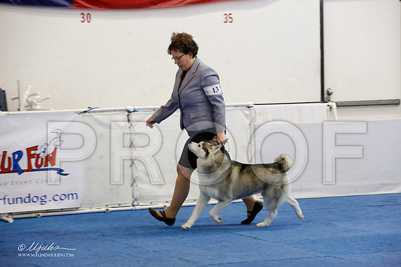 _M3_1277-AddisonHuskyMar2015-HR3