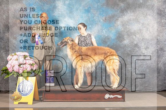 Borzoi #5 THUR WD Major Judge Robert Place_MJ_4206_Houston_2022_HR3