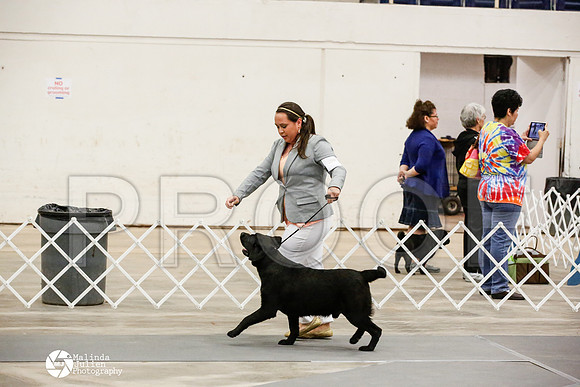 _JN_9947-AblnMay2014-web