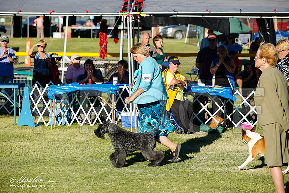 _JN_0018-AlamogordoOct2014-HR3