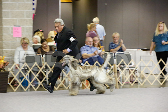 _JJ_0798-AfgBeltonOct2014-HR3