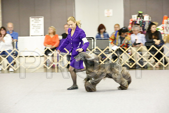 _JJ_2511-AfgBeltonOct2014-HR3