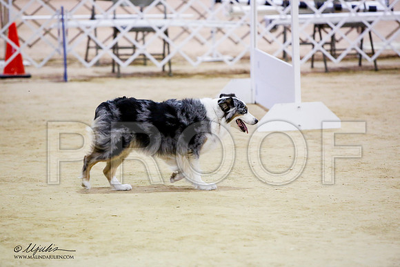 _JN_7466-ASCACollegeStationNov2014-HR3