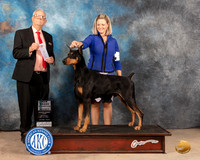 Doberman Pinscher #7 Sat SD Judge Thomas Stanfield Jr