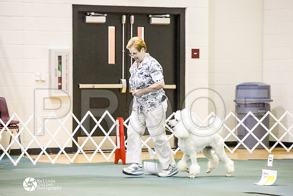 _JJ_3206-BsrCtyJun2014-HR3