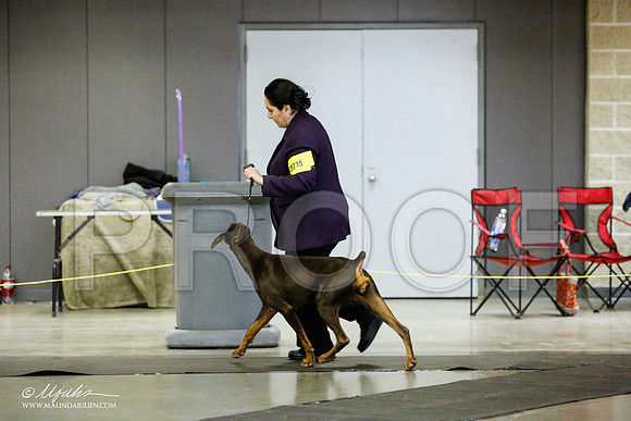 _RH_1590-BeltonJan2015IABCA-HR3