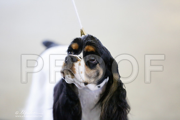 _RH_0344-DallasJul2014-HR3