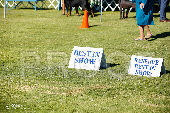 _JN_7691-AlamogordoOct2014-HR3