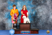 Bichon Frise #16 WED BISS Judge Denise Flaim