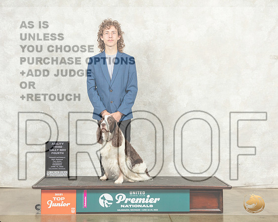 English Springer Spaniel #832 ARNov Judge Kim Thomason__MJ_8300_Premier_2022_HR3