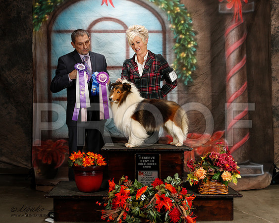 _ST_7151-2-NrmnNov2014-HR3