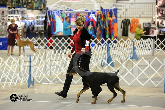 dobe-4890-MidFeb14-HR