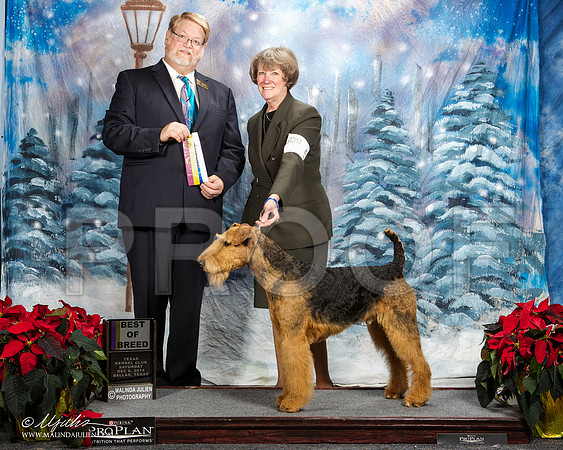 _ST_8509-DallasDec2014-HR3