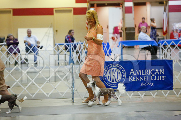 _JJ_0977-AmarilloSept2014-HR3