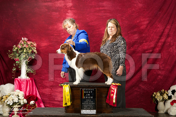 _ST_3013-BeltonJan2015IABCA-HR3