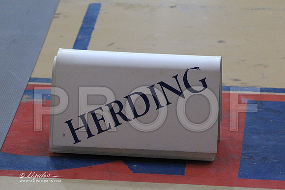 HerdingGrp-8585LR