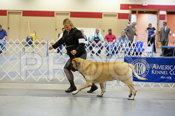 _JJ_9815-AmarilloSept2014-HR3