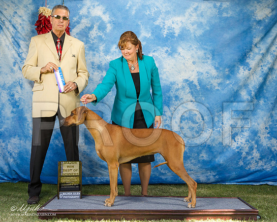 _ST_3178-AlamogordoOct2014-HR3