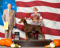 Doberman Pinschers #23 Sun G3 Gaspard Bryan Jordan Gaspard Judge Mr Ralph J Ambrosio