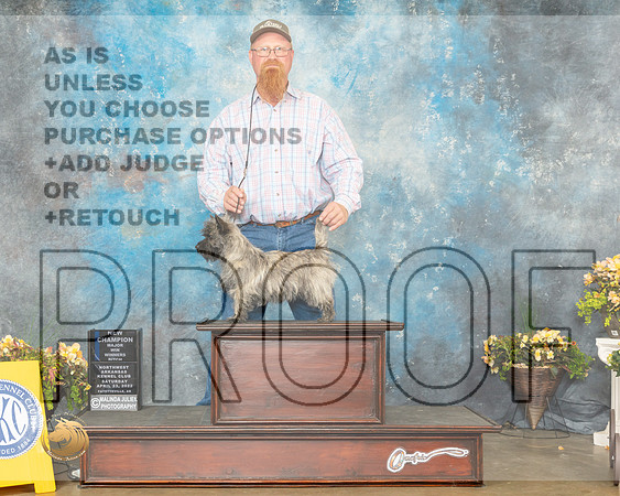 Cairn Terrier #16 Sat WB Judge Grace Fritz-MMJ_0379-NWARK2022-HR3