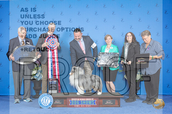 Shetland Sheepdog #23 FRI BIS Judge Jon Cole__JP_9607_Houston_2024_HR3