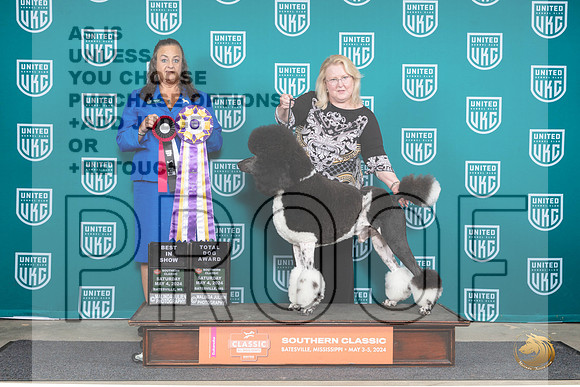 Poodle Std MC #128 Sat1 BISTD Judge Valerie Piltz__JP_6513_BatesvilleMS_2024_HR3