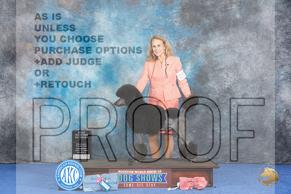 Poodle Standard #21 WED Best Judge James Moses__JP_7353_Houston_2024_HR3