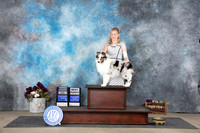 Shetland Sheepdog #21 Sat RWD Bpup Judge Sulie Greendale-Paveza