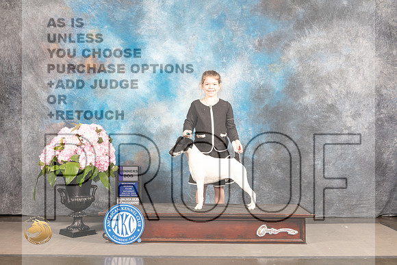 Smooth Fox Terrier #11 Sat WD Judge Barbara Alderman_MJ_7337_Houston_2022_HR3
