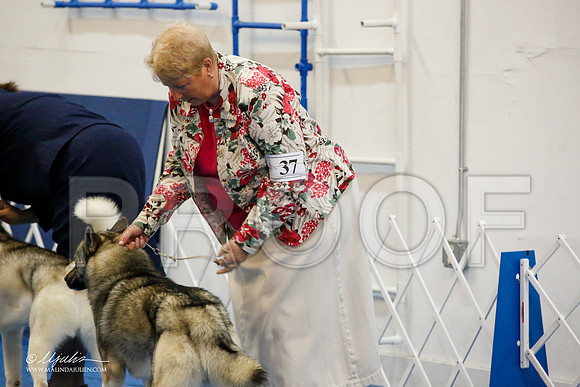_M3_9755-AddisonHuskyMar2015-HR3