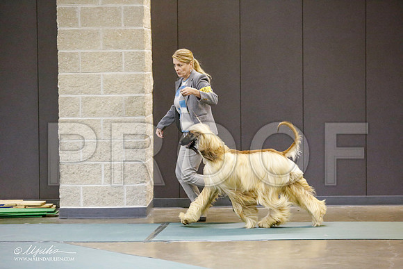 _RH_0742-BeltonJan2015-HR3