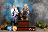 Norwich Terrier #7 Sat AOM Judge Debra Thornton