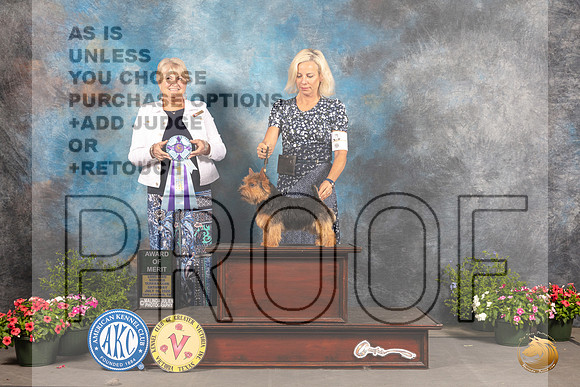 Norwich Terrier #7 Sat AOM Judge Debra Thornton_MJ_0073_SA_2022_HR3