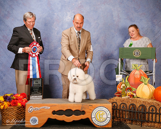 _CL_4689-2-SanAngelo2014-HR3