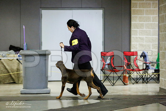 _RH_1589-BeltonJan2015IABCA-HR3