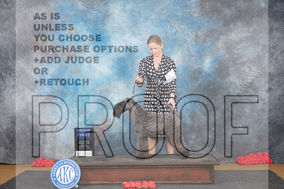 Kerry Blue Terrier #7 Sat G1 Judge Pat Trotter__JP_0338_Sulphur Springs_2024_HR3