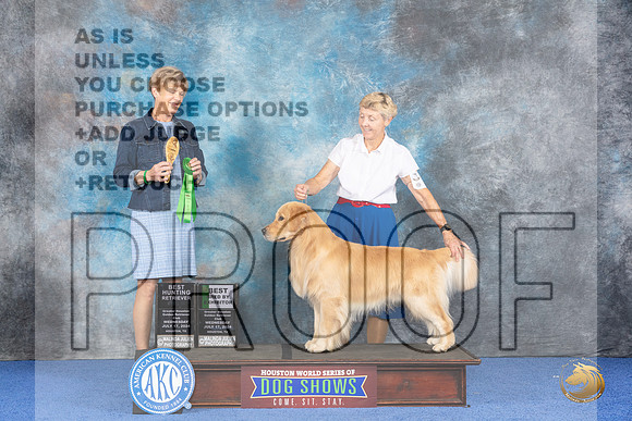 Golden Retriever #29 WED BBE Judge Ellen Hardin__JP_6921_Houston_2024_HR3