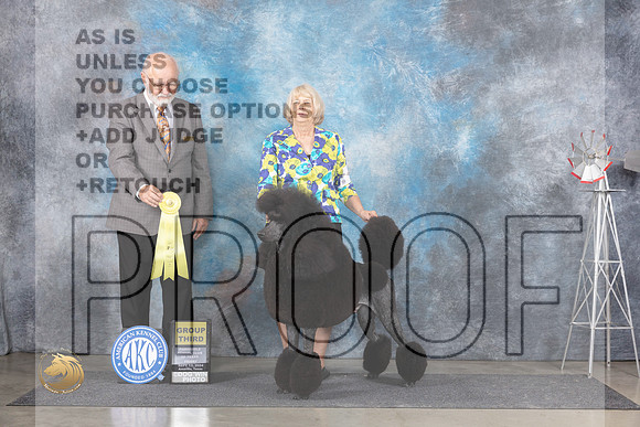 Poodle Std #9 Fri G3 Judge Gary Andersen__JP_5548_Amarillo_2024_HR3