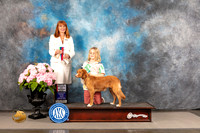 Toller Retriever #6 FRI WB BOS Judge Linda Hurlebaus