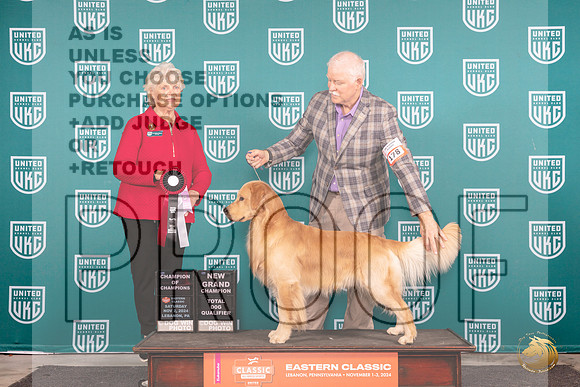 Golden Retriever #178 Sat COCGCHTD Judge Kathryn Baxter__JP_2122e_UKCEastern2024_HR3
