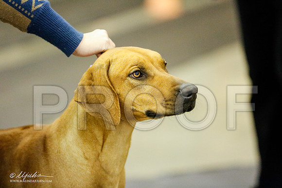 _RH_1427-BeltonJan2015IABCA-HR3
