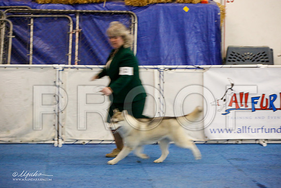 _M3_0835-AddisonHuskyMar2015-HR3