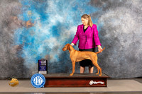 Vizsla #20 THUR WB Major Judge Timothy Catterson