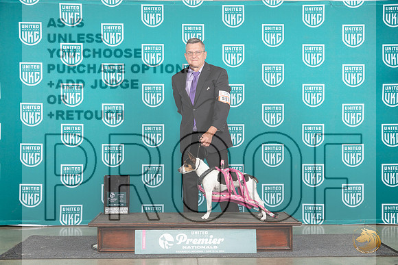 Rat Terrier #553 Fri WP Judge Valerie Piltz__JP_1592_Premier_2024_HR3