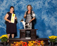 Toy Fox Terriers #5 Sat G3 Bellamy W Eugene Jr Agent Jon Rawleigh Judge Mrs Pamela B Peat