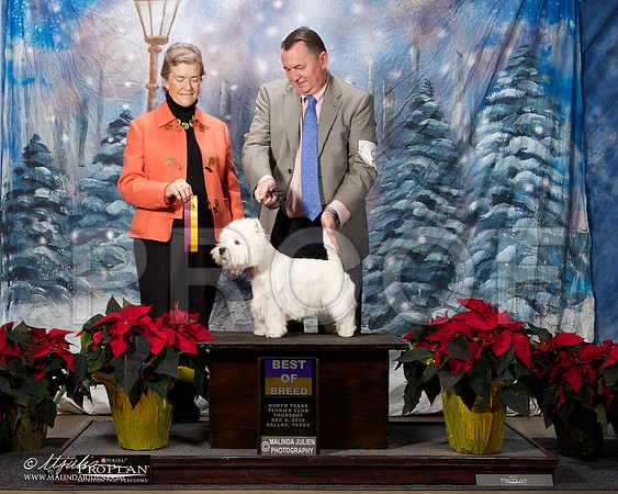 _ST_7992-DallasDec2014-HR3