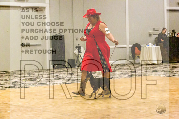 Manchester Terrier MTOY Candids-JJL_2284-Hstn2022_HR3