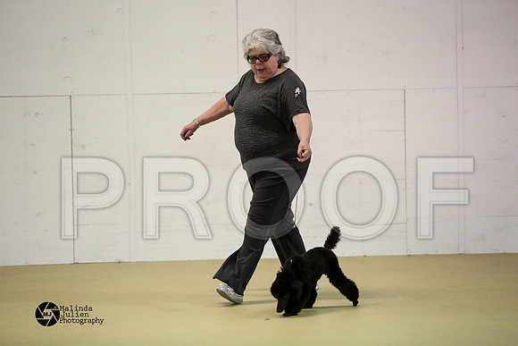poodM-9787-HtoJan2014-HR3